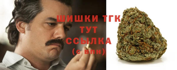 ГАЛЛЮЦИНОГЕННЫЕ ГРИБЫ Пересвет