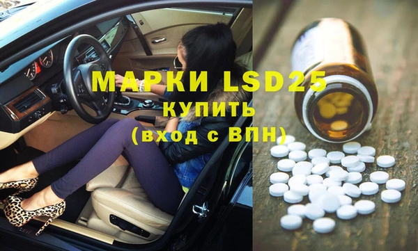 ГАЛЛЮЦИНОГЕННЫЕ ГРИБЫ Пересвет