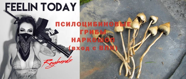 ГАЛЛЮЦИНОГЕННЫЕ ГРИБЫ Пересвет