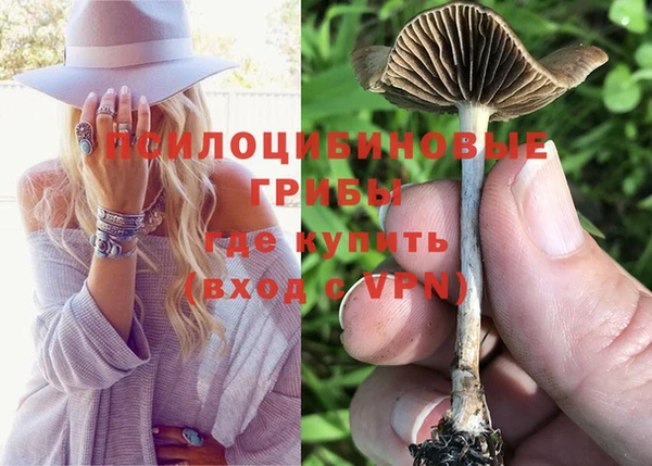 ГАЛЛЮЦИНОГЕННЫЕ ГРИБЫ Пересвет