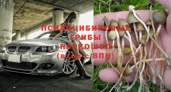 ГАЛЛЮЦИНОГЕННЫЕ ГРИБЫ Пересвет